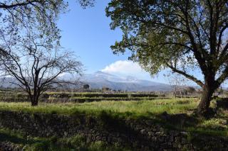 Etna tra le Querce - Santa Venerina - 1