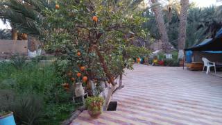 gîte les jardins - Goulmima - 9