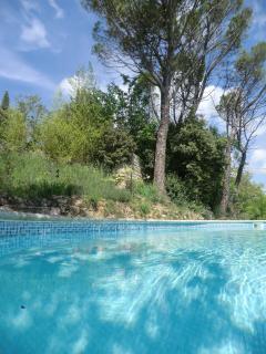 Le Moulin de Varrians - Rians - 9