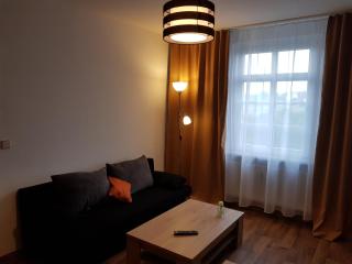 Apartments Vogtlandblick - Reichenbach im Vogtland - 6