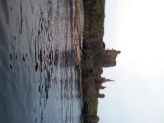 Harbour House Bed & Breakfast - Wick - Wick - 1