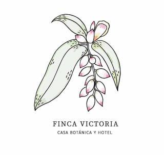 Finca Victoria - Vieques - 9