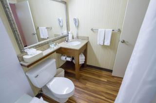 Holiday Inn Bloomington Airport South-Mall Area by IHG - Bloomington - 8