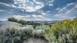 Log Cabin Motel - Pinedale - 4