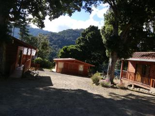 Cabañas San Gerardo - San Gerardo de Dota - 9
