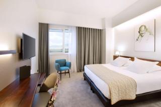 Best Western Plus Hotel & Restaurant Les Humanistes Colmar Nord - Sélestat - 3
