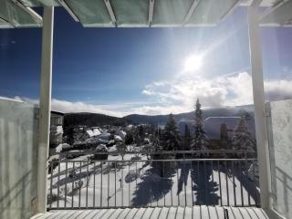 Parkhotel Flora am Schluchsee - 6