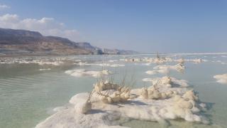 Nadia Hosting Dead Sea - 1