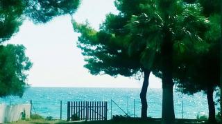 Seafront Villa Joan - Nea Skioni - 4