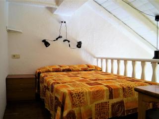 Loft kiwi - 3