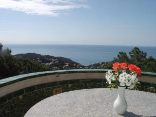 Torre - Lloret de Mar - 0