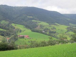 Ferienhaus Hubhof - Oberharmersbach - 6