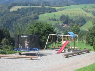 Ferienhaus Hubhof - Oberharmersbach - 3