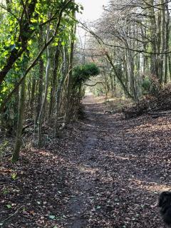 Rolling Mill, Wolds Way Holiday Cottages, 2 Bed, 1st floor - Cottingham - 4