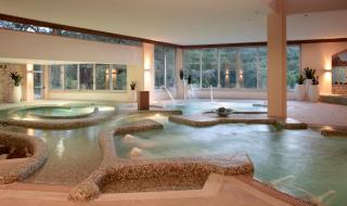 Secret Forest - Wellness Retreat & Healing Spa - Miliou - 7