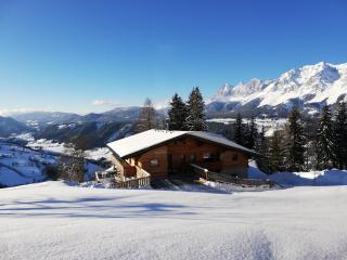 Lärchenreith Appartement - Schladming - 3