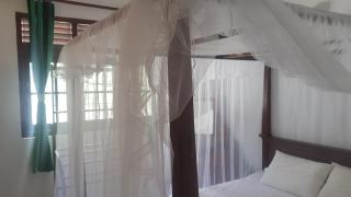 Janani Guest - 4