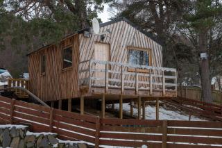 Pine Marten Bar Glenmore Treehouse - 8