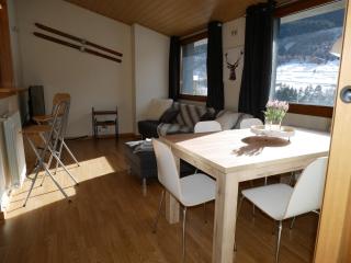 Sol Tarter - Vacances Pirinenca - El Tarter - 6