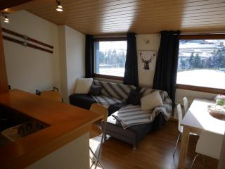 Sol Tarter - Vacances Pirinenca - El Tarter - 7