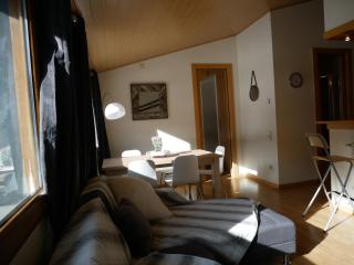 Sol Tarter - Vacances Pirinenca - El Tarter - 8