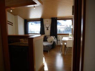 Sol Tarter - Vacances Pirinenca - El Tarter - 9
