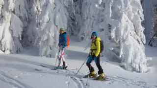 Wildnisresidenz am Nationalpark - Lindberg - 6