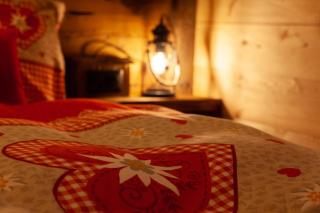 Chalet Schuler - Zermatt - 1