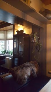 Pension Abshoff - Meschede - 2