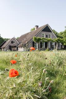 De Rheezer Kamer - Hardenberg - 7