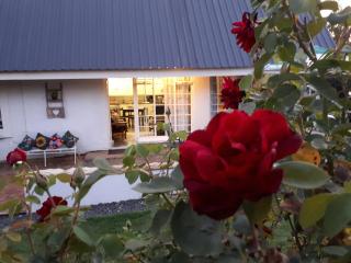 Honeysuckle Clarens - 1