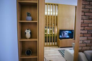 Briana Luxury Studio - Cluj-Napoca - 4