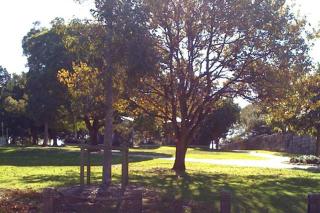 Parkview, Newtown, Sydney - 2