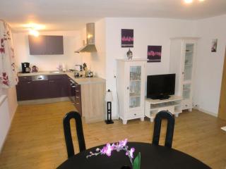 Ferienwohnungen Federleicht - Titisee-Neustadt - 9