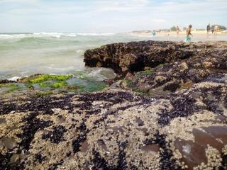 Apartamento a Beira Mar - 2