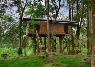 Eco Garden Resort & Heritage Cheruthuruthy Thrissur - 3