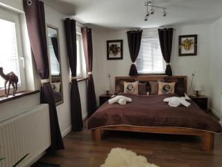 Alexandra Appartement - Gersdorf - 0
