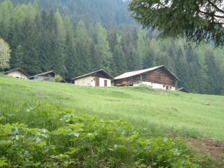Chalet Nel Doch - 9