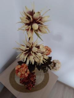 Studio Montana - Poiana Brasov - 6