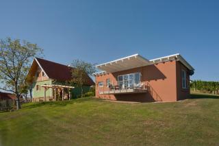 Ferienhäuser im Weingarten - 3