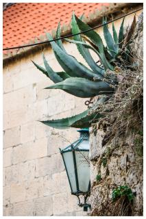 Apartments Mirabella - Omiš - 7