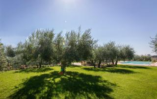 La Noce - Cortona - 8