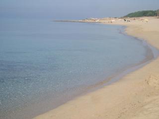 Hotel Costa D'Oro - Torre Ovo - 4