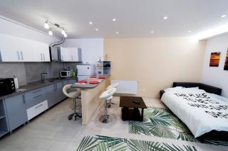 Central apartment- Shumi's - Cluj-Napoca - 4