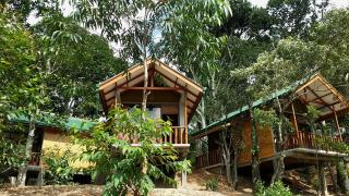 Saffron Eco Cottage - 3