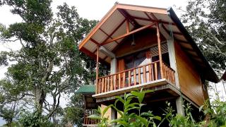 Saffron Eco Cottage - 1