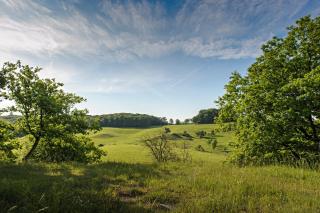 Afbeelding van de locatie