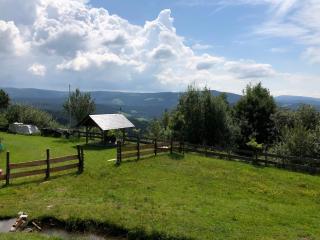 Waldheimathütte - Sankt Kathrein am Hauenstein - 7