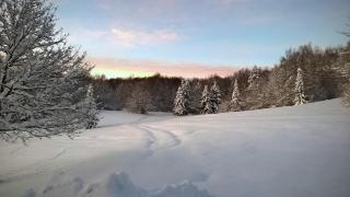 Guesthouse Bor Plitvice Lakes - Laghi di Plitvice - 5