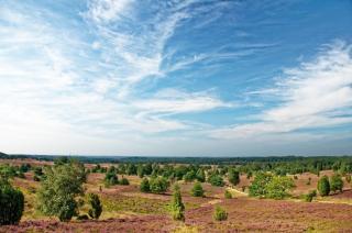 Ferienwohnungen Schäferfeld - Lüneburg - 2